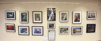 Tates Creek Branch Gallery