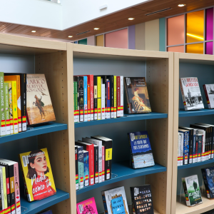 Books displayed on a shelf